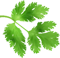 curry_leaf