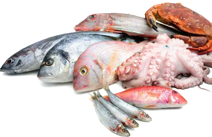 fish